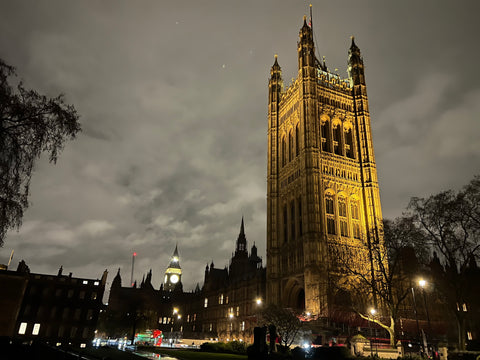 Grand Iftar | Palace of Westminster