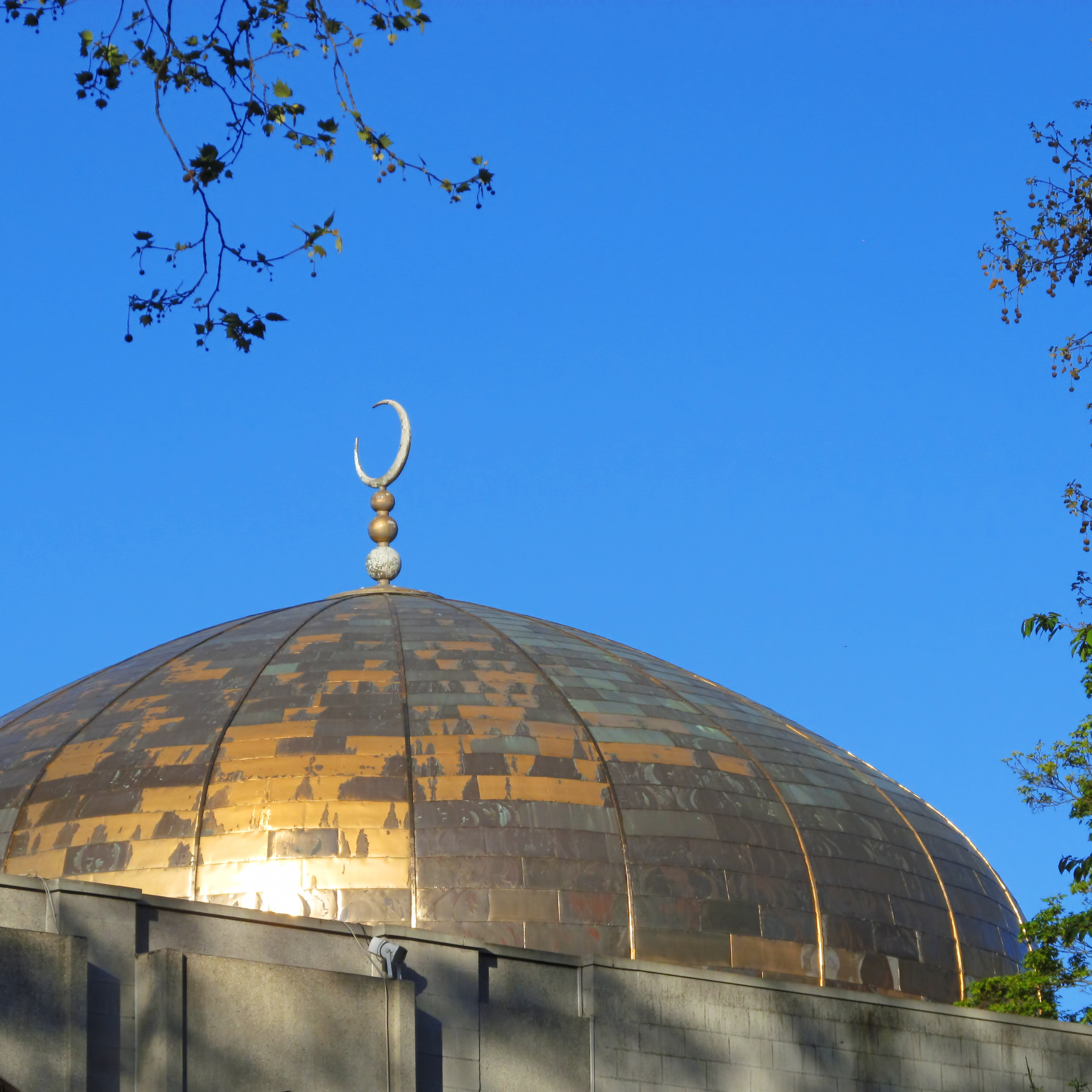 Islam in Britain: What is Beyond Anti-Muslim Hate