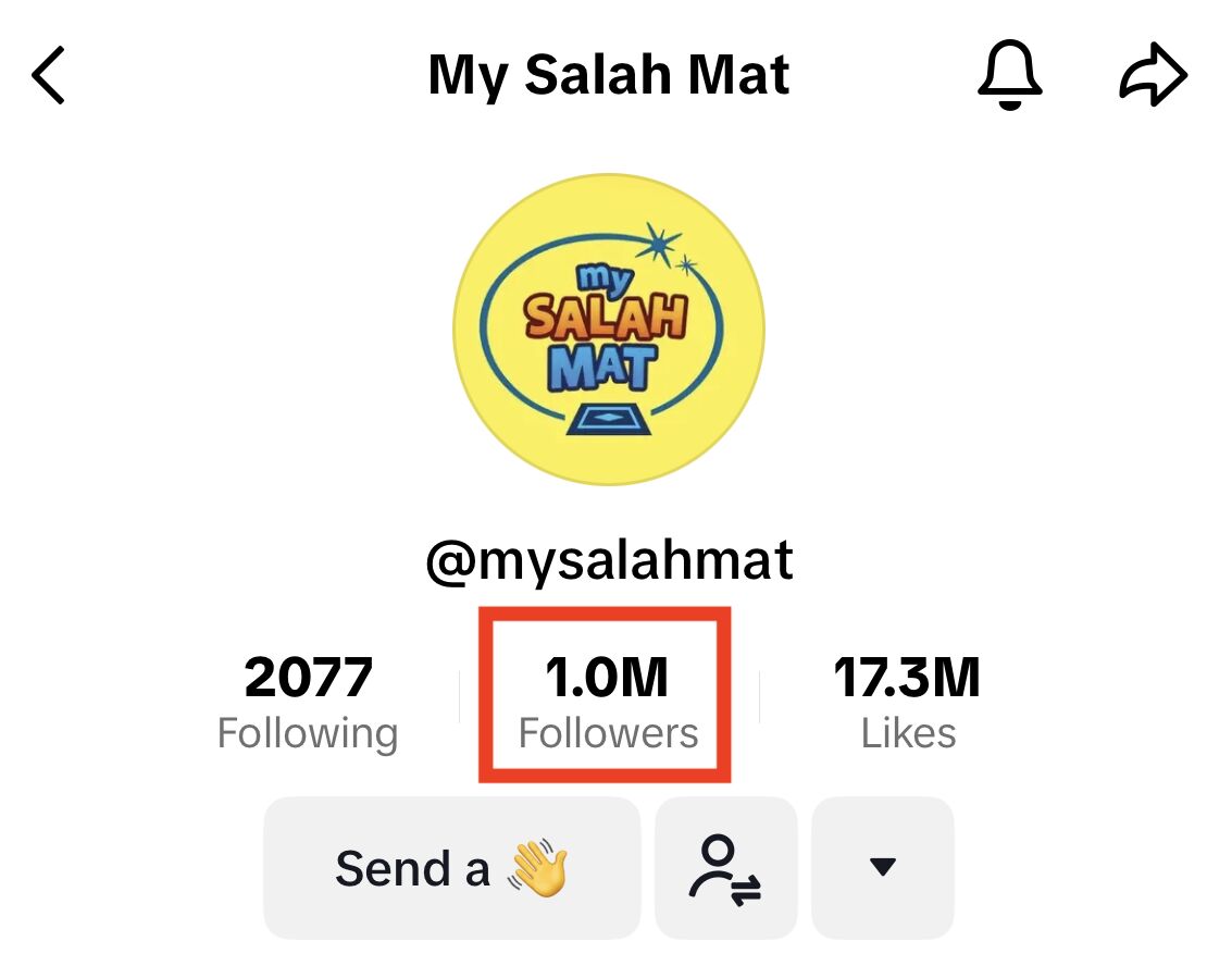 We reached 1 Million followers on TikTok!