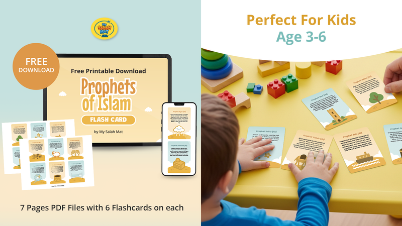 MSM080202 | Flash Cards Prophets   ✅