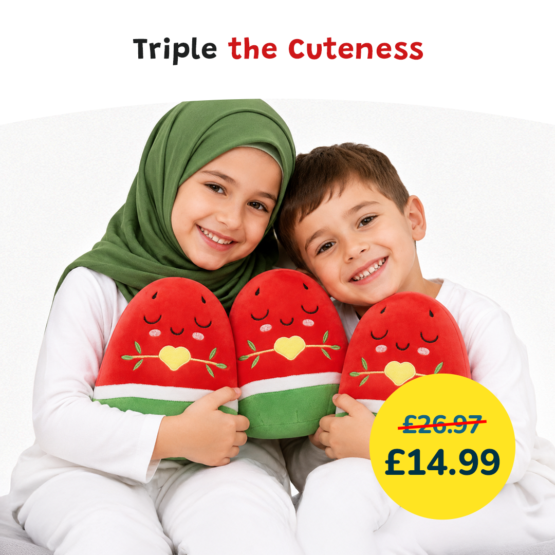 3 Watermelon Plushies -  20cm Soft Cuddly Pillow Adorable Muslim Doll [DEAL]